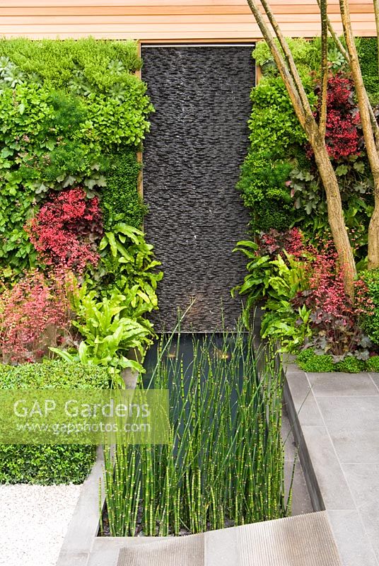 Living green wall with planting including ferns and Heuchera beside a vertical basalt water wall and plunge pool in The Children's Society Garden, Designed by Mark Gregory, Sponsor - The Co-operative, Chelsea Flower Show 2008