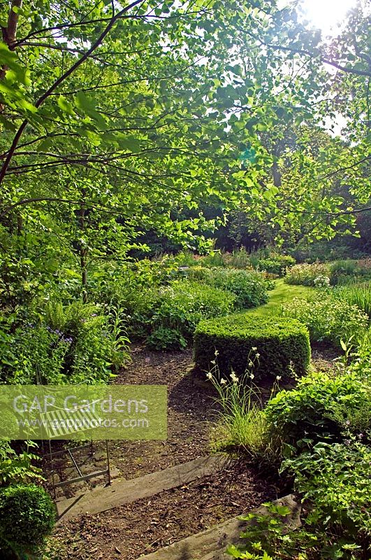 Path running through natural garden with metal seat and Buxus topiary