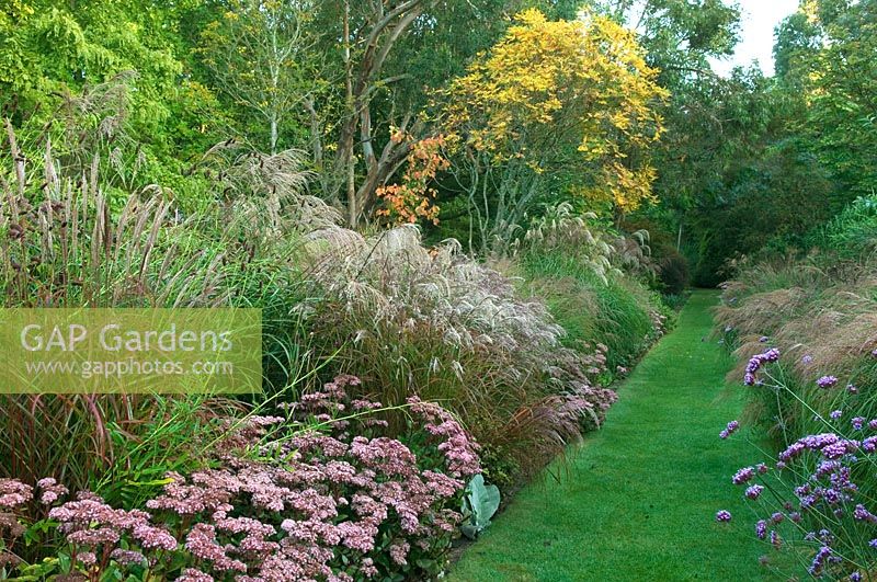Early Autumn borders with grasses and perennials including Sedum and Miscanthus