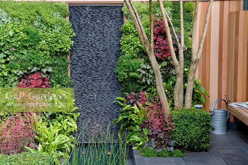 Slate water feature with vertical planting, including Heuchera 'Pink Pearl', Heuchera 'Cherries Jubiliee',  Euonymus fortunei 'Kewensis', Asplenium scolopendrium and Sedums. Plants in shelved containers. Equisetum hyemale in foreground. Galvanised watering can with wooden bench to right - Children's Society Garden, Design - Mark Gregory