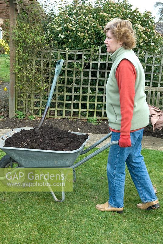 Woman barrowing organic compost 