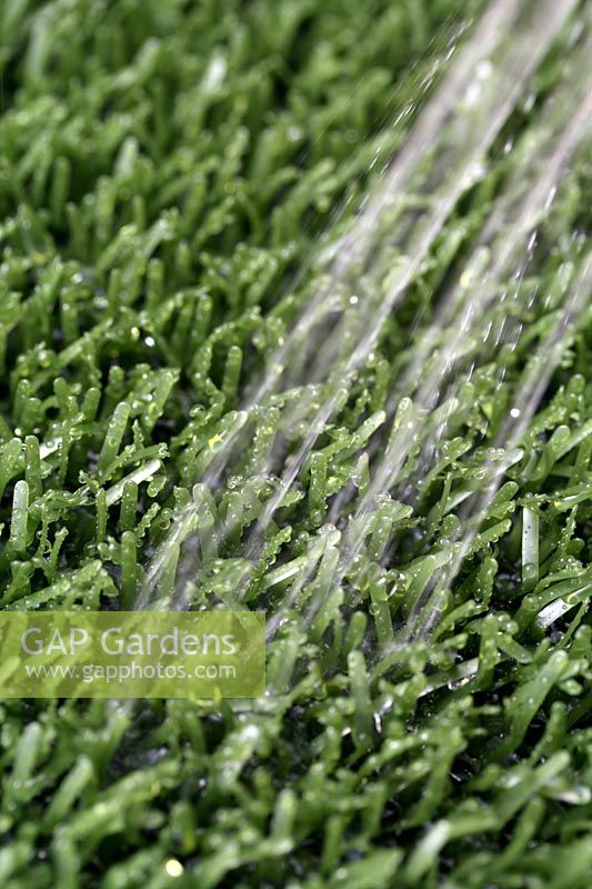 Watering plastic astroturf lawn