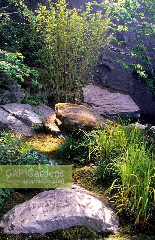 Natural Japanese garden with moss path, rocks, golden bamboo and grasses - Garden - The Lloyd's TSB Garden, Design - Trevor Tooth, Sponsor - Lloyds TSB