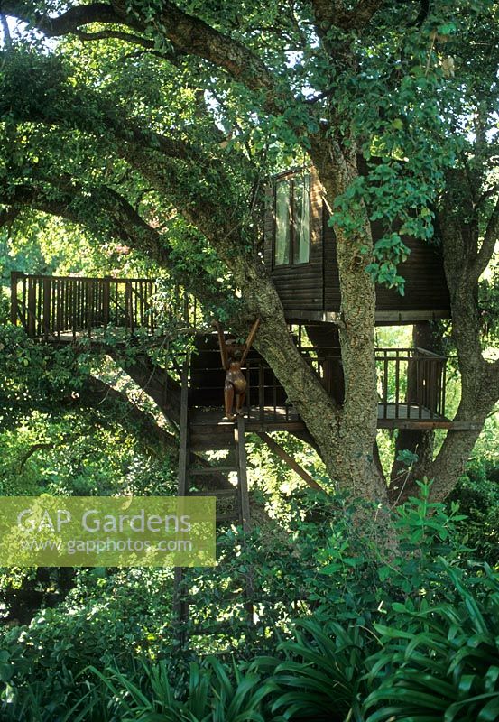 Treehouse - Cape Town, South Africa