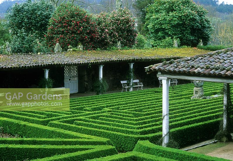 Low Buxus hedging forming maze - De Oca, Galicia, Spain