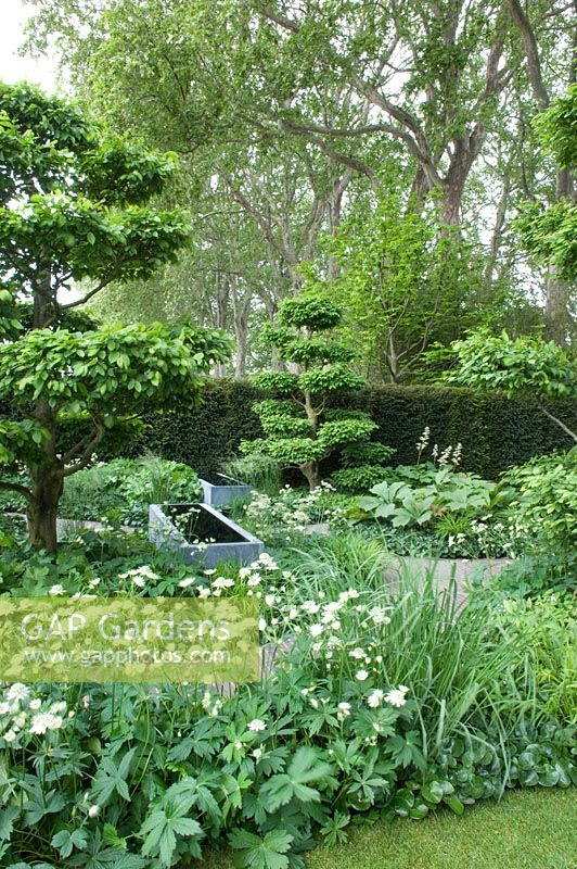 Garden designed by Tom Stuart-Smith for Laurent Perrier - RHS Chelsea Flower Show 2008