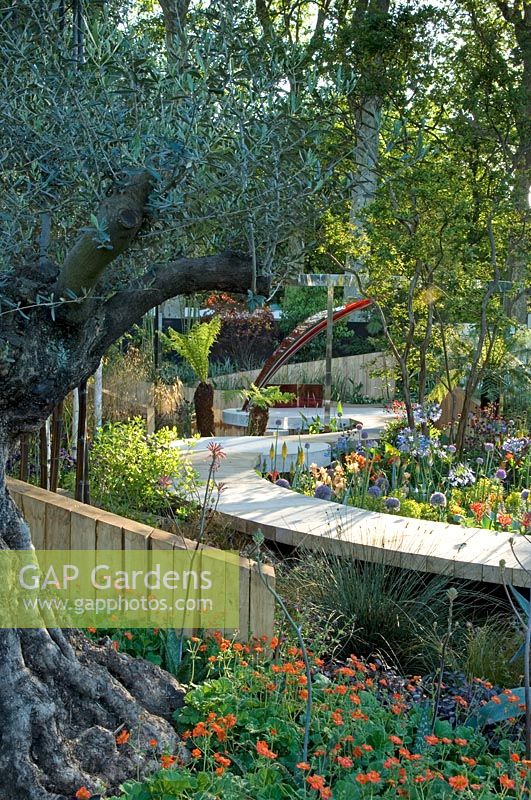 Raised wooden pathways - The Lloyds TSB Garden, RHS Chelsea Flower Show 2008 