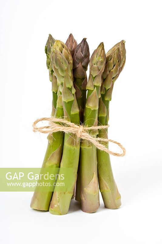 Asparagus tied with twine