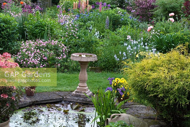 Herbaceous border with pond and stone bird bath in small garden   