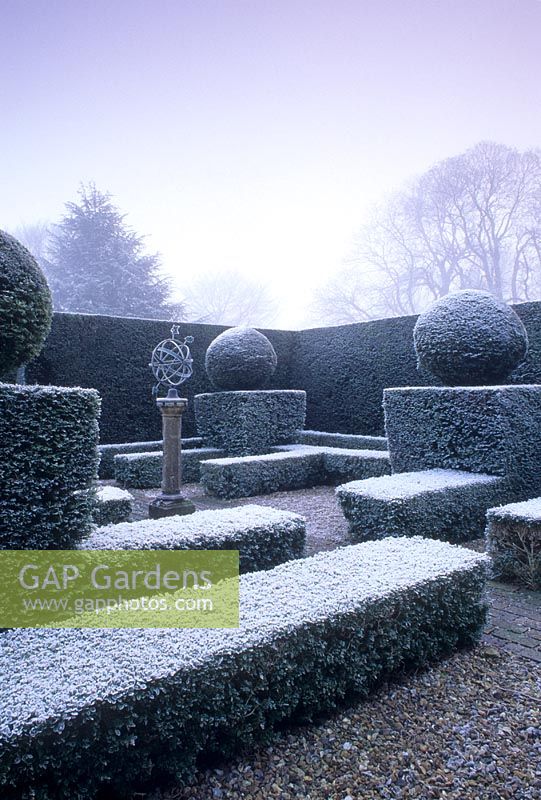 Buxus hedging and topiary with frost