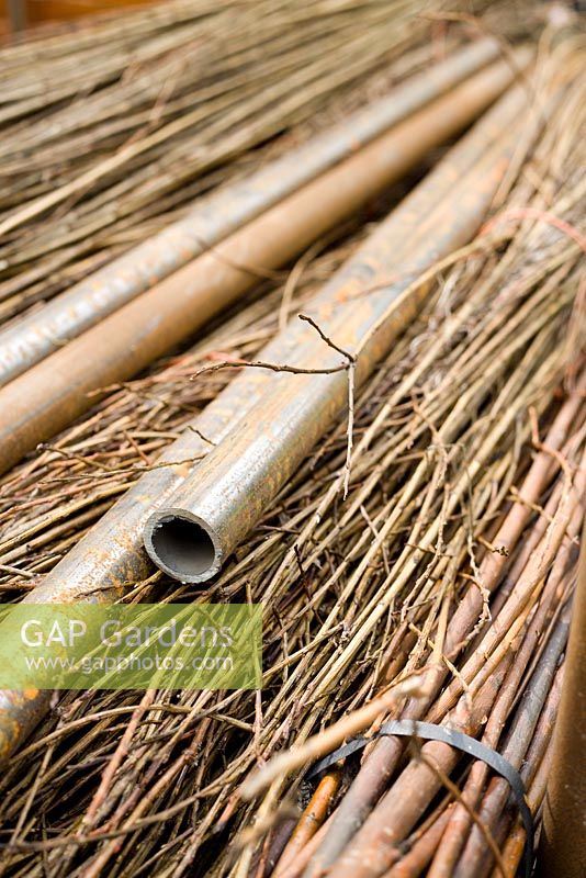Willow for weaving fence with mild steel supports. Salix triandra 'Noir de Villaines'.