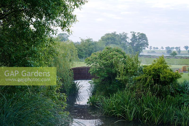 View of pond with willow bridge across garden into marshes beyond. Salix babylonica var. pekinensis 'Tortuosa' - Corkscrew willow and weeping willow.
