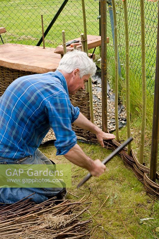 Robert Yates tamping down woven Salix triandra 'Noir de Villaines' willow around Salix viminalis uprights and mild steel supports to create willow arbour. Steel goes rusty and blends with willow over time.