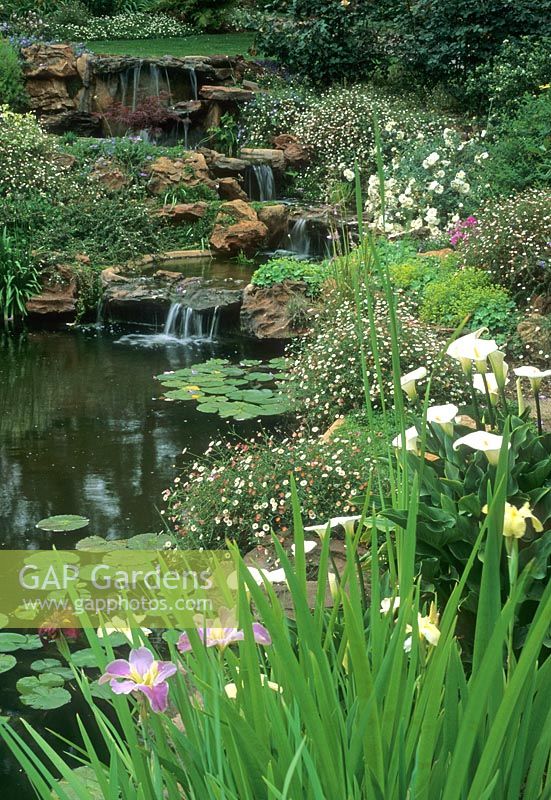 Waterfall and pond in garden - Johannesburg, South Africa