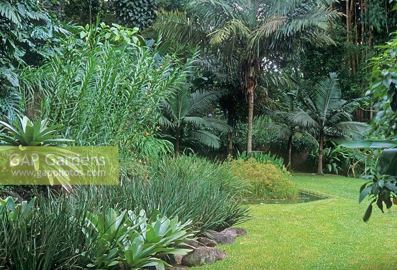 Tropical garden - Raul de Souza Martins, Petropolis, Brazil