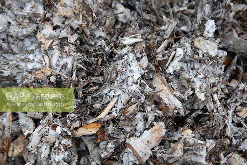 Composting woody material fungal growth is vital for decomposition