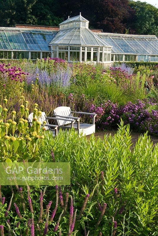 Glasshouse and wooden seats in The Walled Garden planted with Origanum 'Rosenkuppel', Perovskia 'Blue Spire', Phlomis russeliana and Amsonia - Scampston Hall, Yorkshire designed by Piet Oudolf
