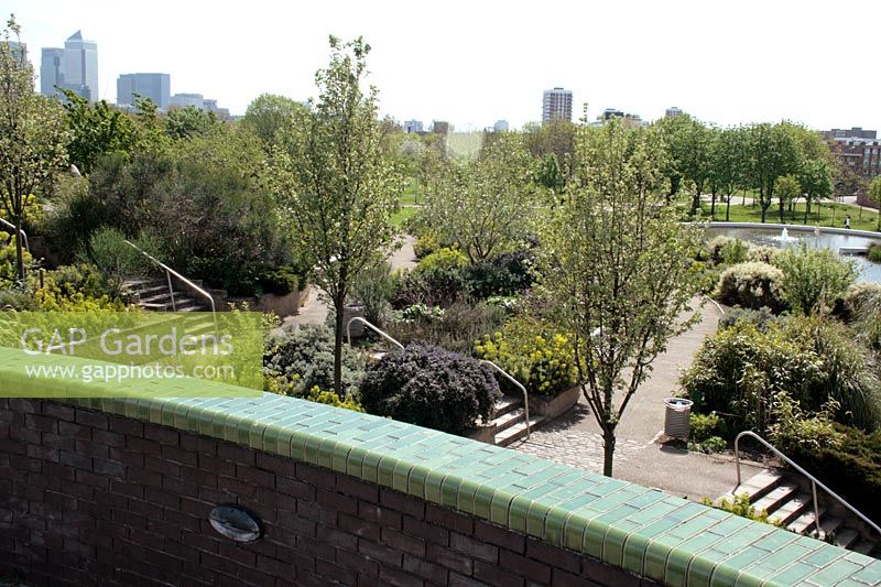 Mile End Park, East London with view to Canary Wharf office towers - Water fountain and pool with beds planted with Bamboo, Cortaderia, Rosemary, Euphorbia and Eanothus
