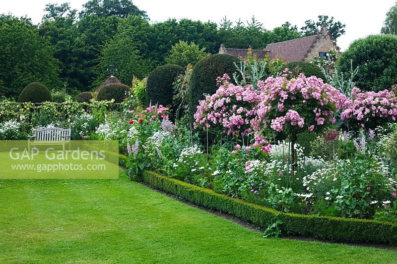 Summer border with Rosa 'Ballerina' in June - Chenies Manor Gardens