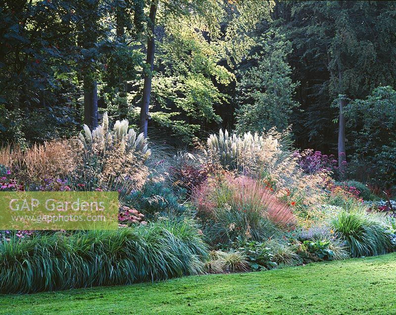 The main border beside the lawn in Autumn with Echinacea, Stipa gigantea and Pampas grass - Greystone Cottage, Oxfordshire