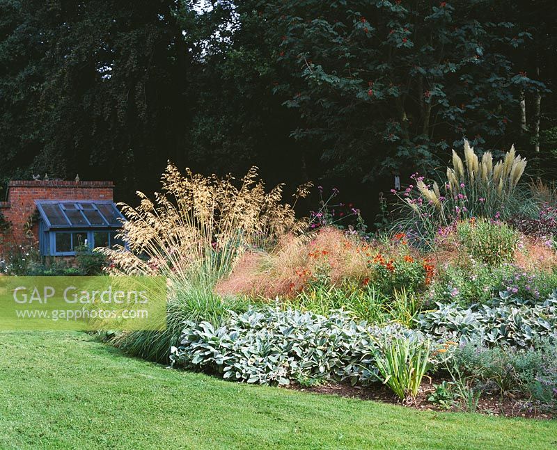 View from the main lawn to small greenhouse with Stipa gigantea, Stachys and Pampas grass - Greystone Cottage, Oxfordshire