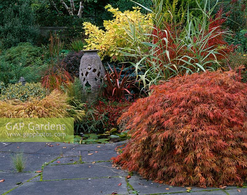 Small pond with Acer dissectum and granite urn resting in autumnal border  - Lakemount, Ireland