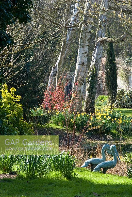 Narcissi and spring shrubs with pelican sculptures by the water at Chippenahm Park, Cambridgeshire NGS