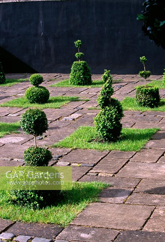 Courtyard with Yew topiary shapes - Ridler's Garden, Swansea, Wales