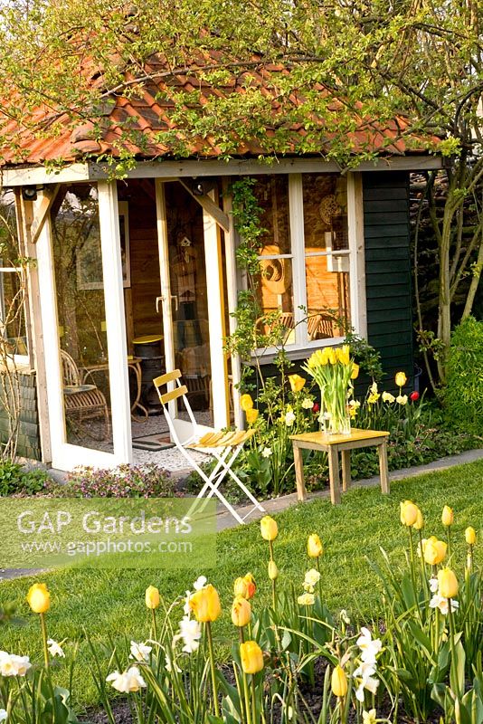 Sitting area in front of summerhouse with border with Tulipa 'Juliette' and Narcissus 'Yellow Cheerfulness'