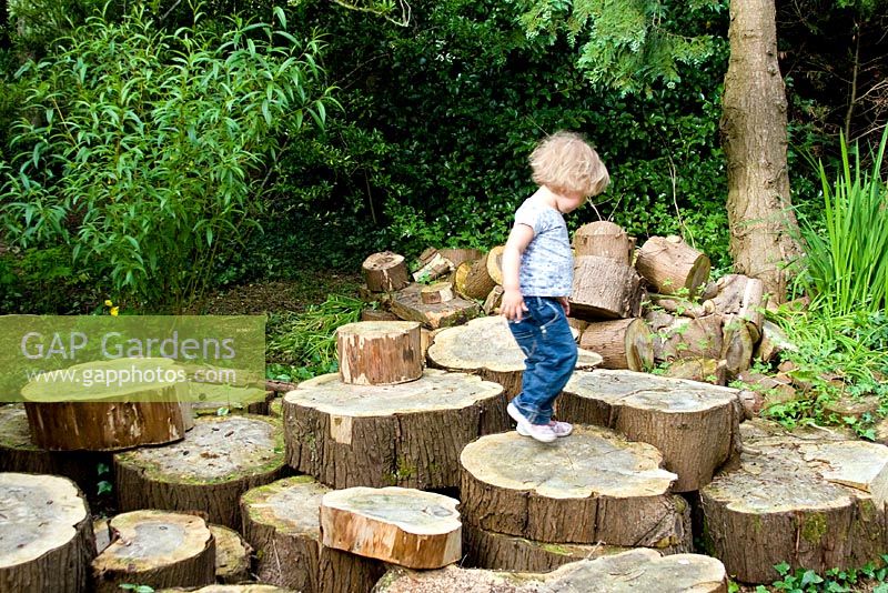 Child playing on tree stumps