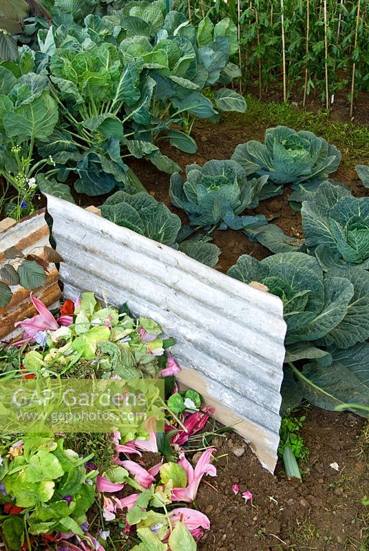 Compost area in the vegetable garden at Mundy's Cottage Garden in The Daily Mail Pavilion at the RHS Hampton Court Flower Show