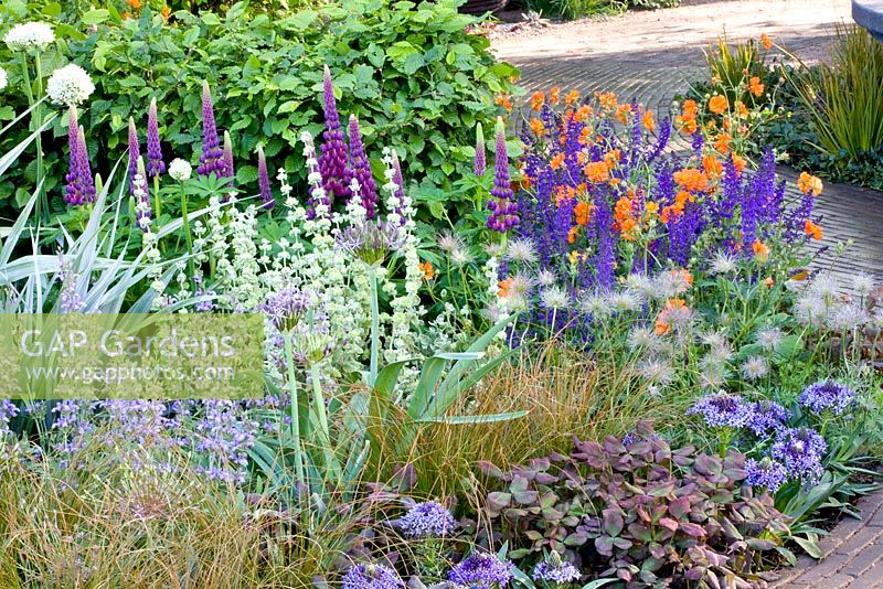 Mixed summer border at RHS Chelsea Flower Show 2008