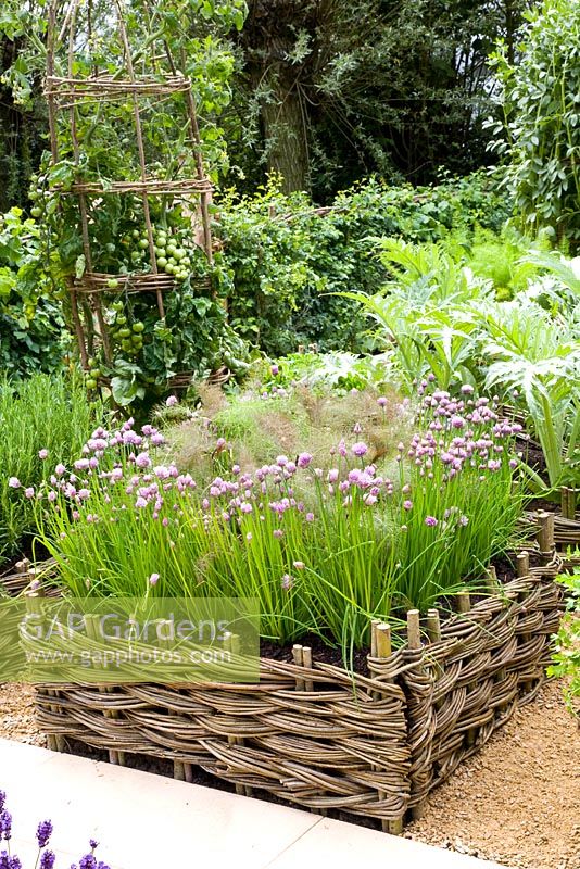 Allium schoenoprasum and Foeniculum growing in baskets - 'Summer Solstice' Garden, Sponsor - Daylesford Organics - RHS Chelsea Flower Show 2008 