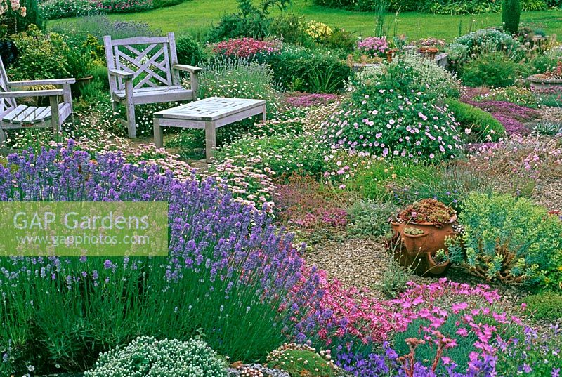 Terrace with alpines, seating adn lavender at Cox Woodpeckers, Warwickshire NGS