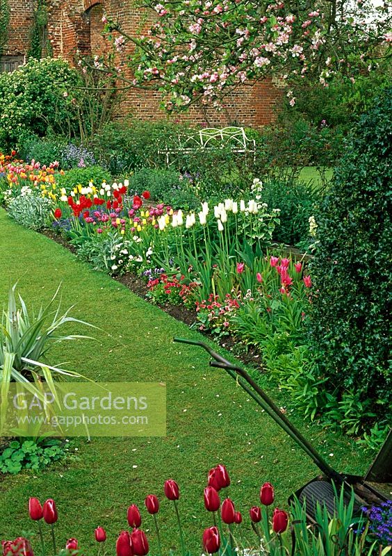 Spring garden with tulips - Chenies Manor, Bucks