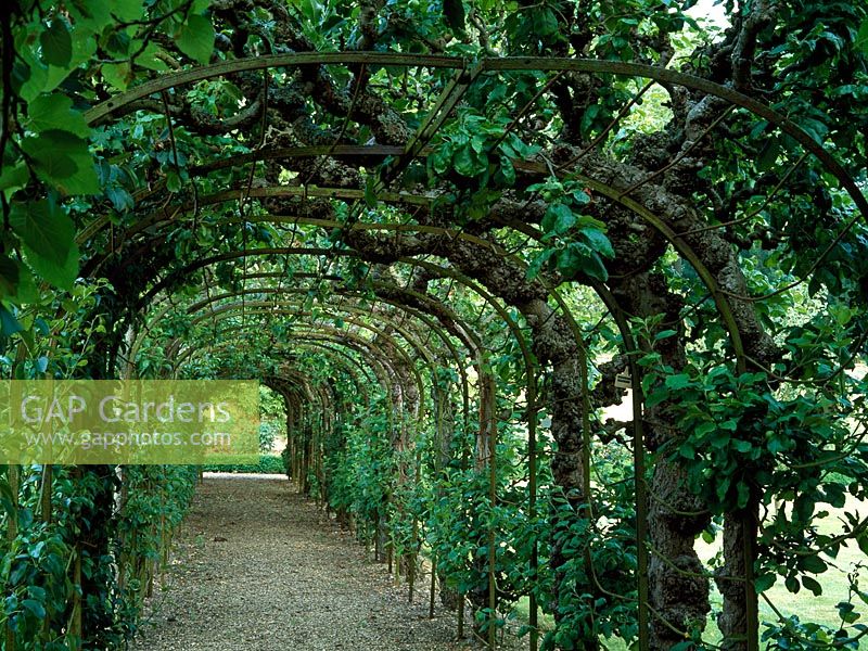 Arched walkway