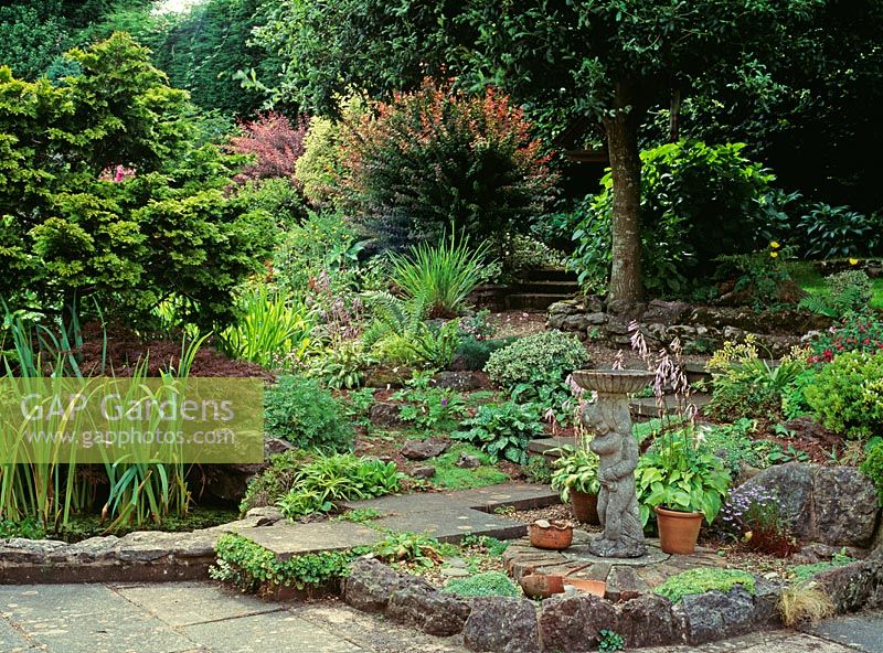 Small garden with decorative birdbath, hard landscaping, Hosta, Berberis, and Hebe