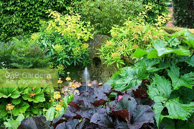 Stone water feature with Euphorbia stygiana, Euphorbia mellifera and Primula hybrids - Hunmanby Grange, Yorkshire