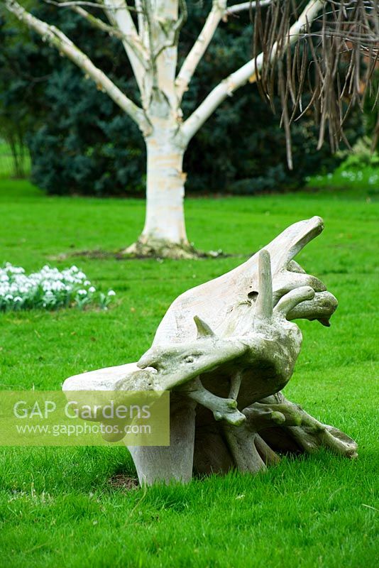 Wooden carved bench on lawn with Betula utilis var jacquemontii behind - Woodpeckers, Warwickshire