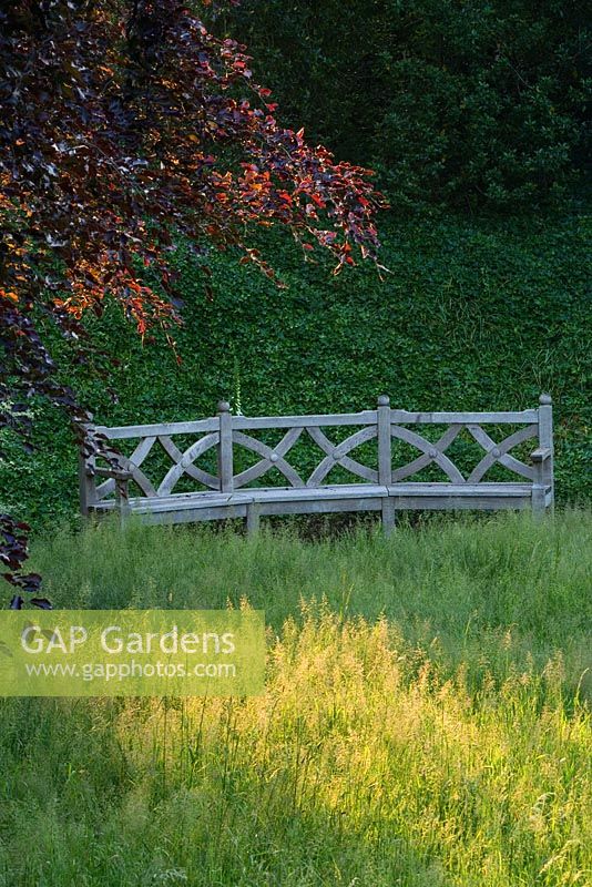 A place to sit - beautiful wooden bench  seat beside copper beech tree and wildflower meadow - The Old Rectory, Haselbech, Northamptonshire. 