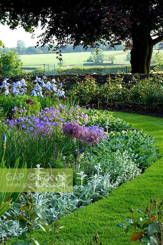 Mixed herbaceous border - The Old Rectory, Haselbech, Northamptonshire