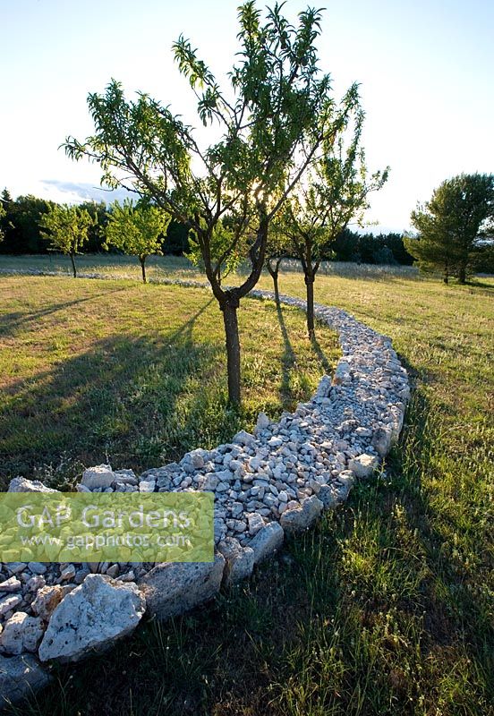Spiral of field stones and almond trees in the meadow - Mas Benoit, Provence, France