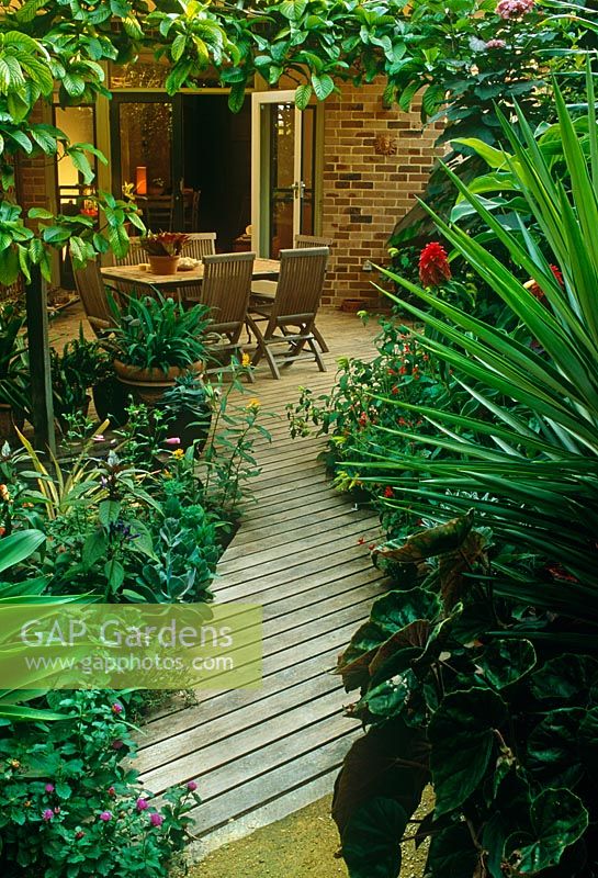Small town garden with tropical green planting. Covered patio with Loquat over wooden frame. Table and chairs. Double doors to house - New South Wales, Australia