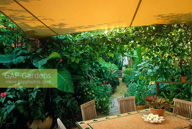 Tropical style garden in February with sail canopy over table and chairs - New South Wales, Australia