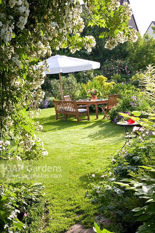 Seating area in suburban garden with Rosa 'Rambling Rector' in forground