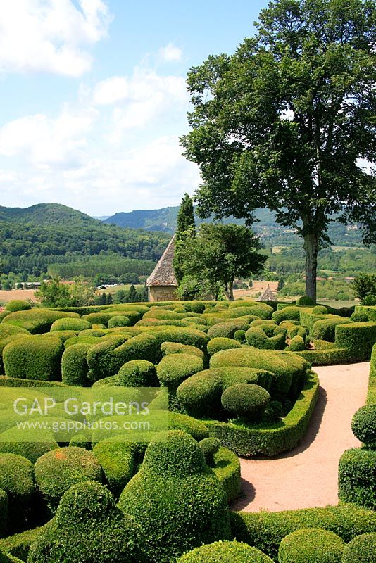 Clipped and shaped Buxus sempervirens - Marqueyssac Garden Park, Dordogne, France 