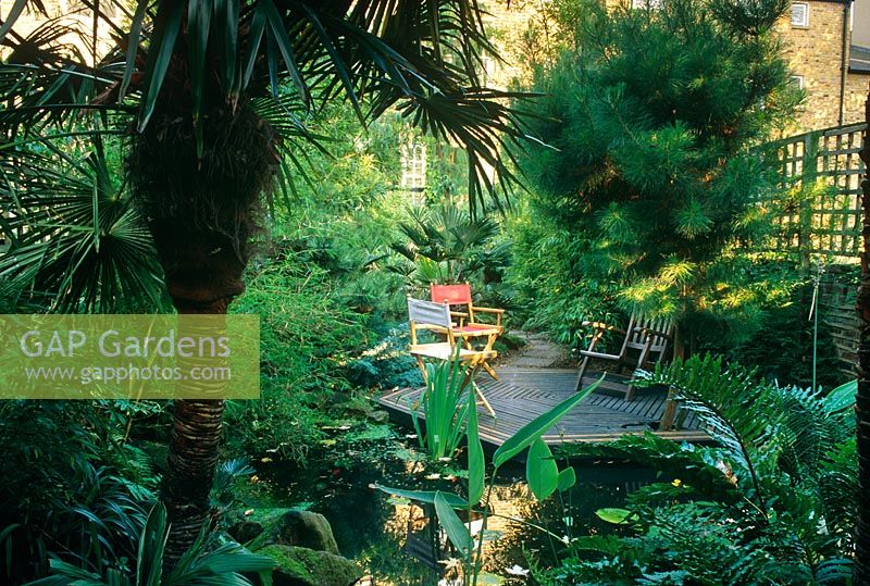 Small urban garden with large water feature, tropical style planting and chairs on deck - London