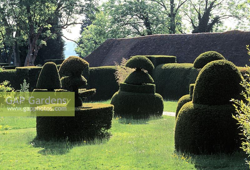 Topiary at Great Dixter, Sussex