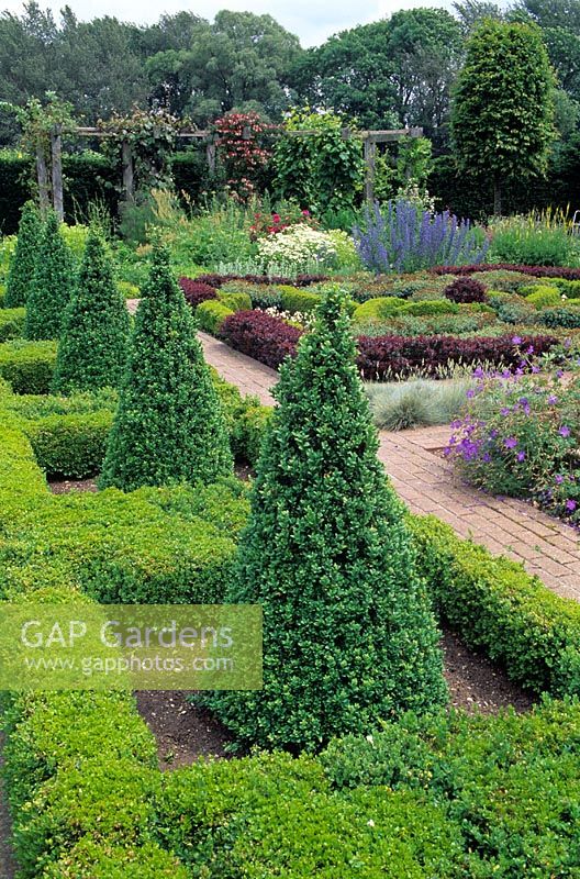 Repeating box cones along edge of formal herb garden - Waterperry gardens, Oxfordshire