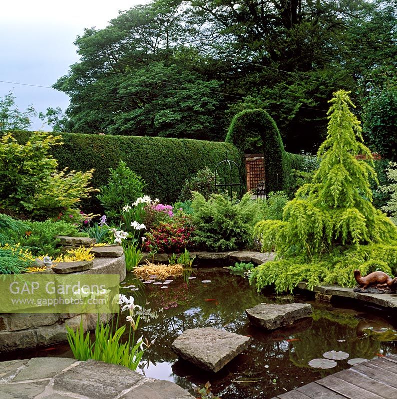 Small garden pond with stepping stones set against a backdrop of clipped Taxus hedging with arch and mature trees -  Birchwood Farm, Derbyshire 